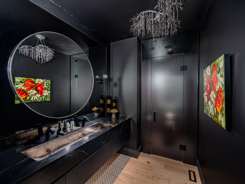 Powder room colour drenched in black