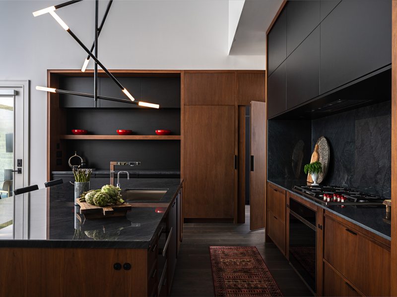 Matte black cabinets and hidden fridge