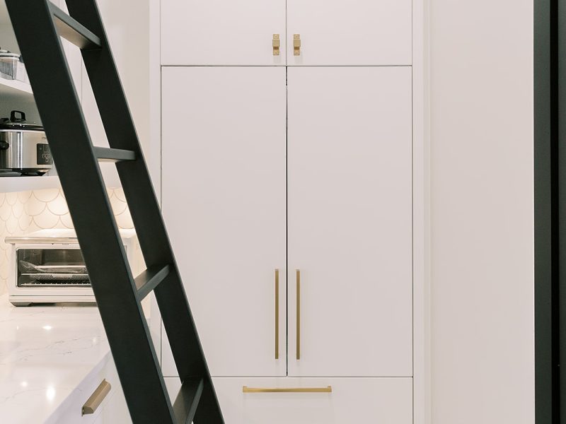 Pantry ladder and hidden fridge